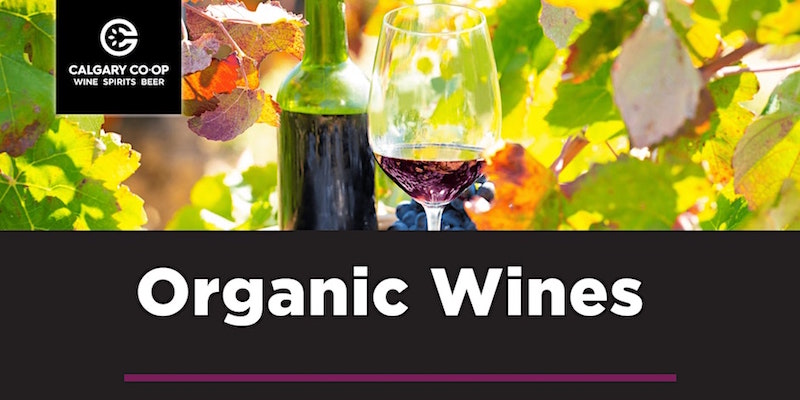 organic wines