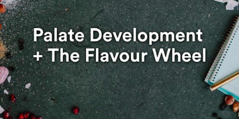 palate development