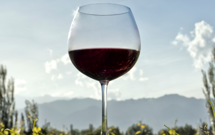 world malbec day