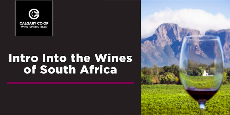 south africa wines