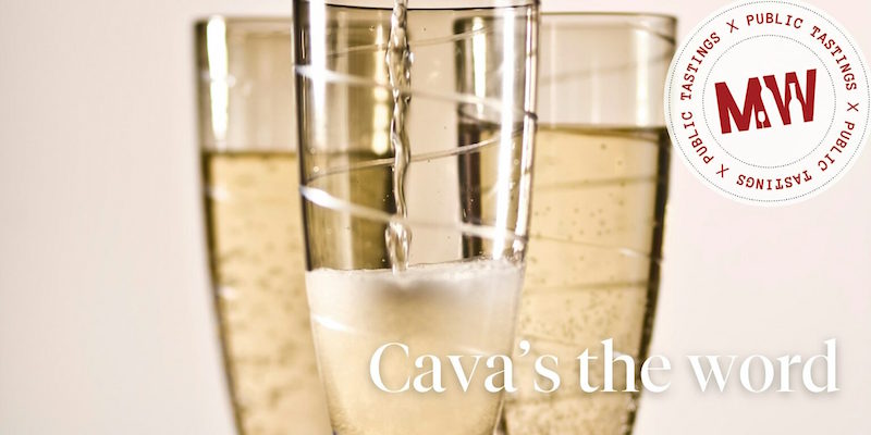 Cava market wines