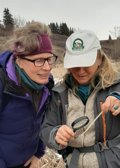 foraging for hikers