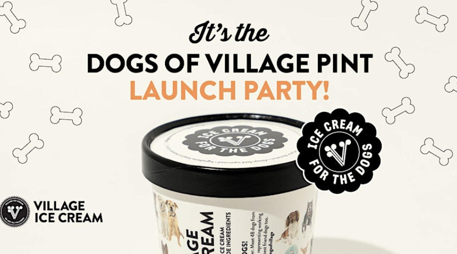 village ice cream dogs of village ice cream launch