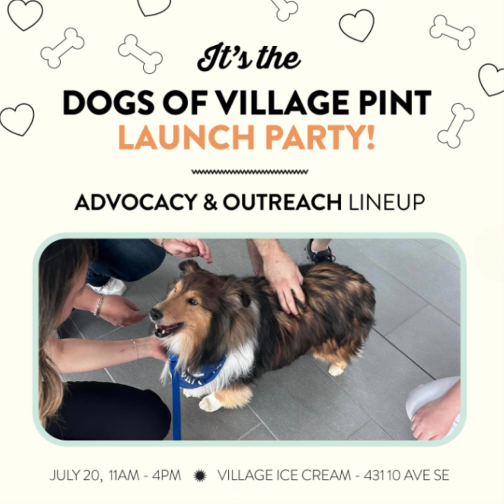 village ice cream dogs of village ice cream launch