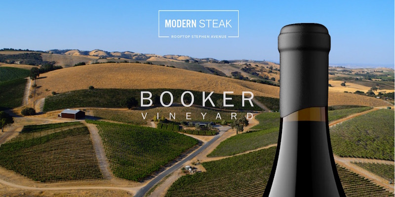 modern steak vineyard