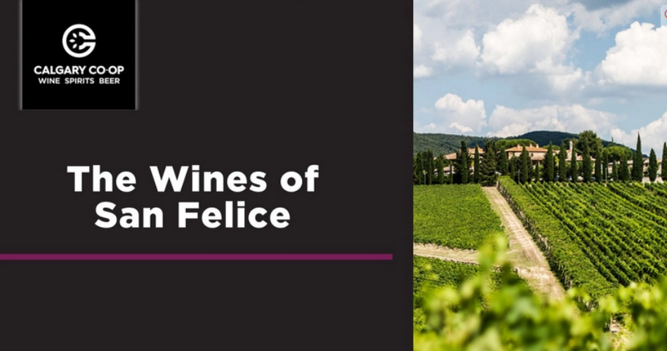 The Wines of San Felice - Beddington