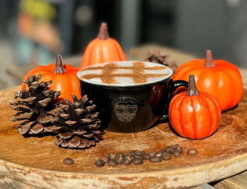 Warm up with these Must-Try Fall Drinks in Calgary