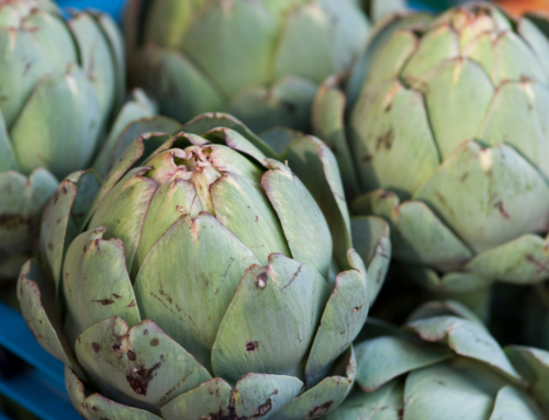 Green Globe Artichokes