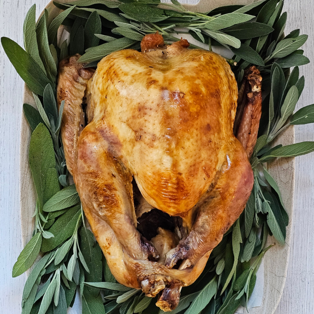 roast turkey