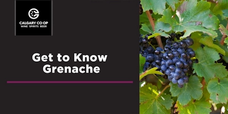 grenache co-op