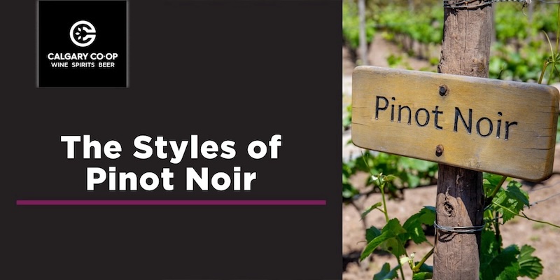 pinot co-op pinot co-op
