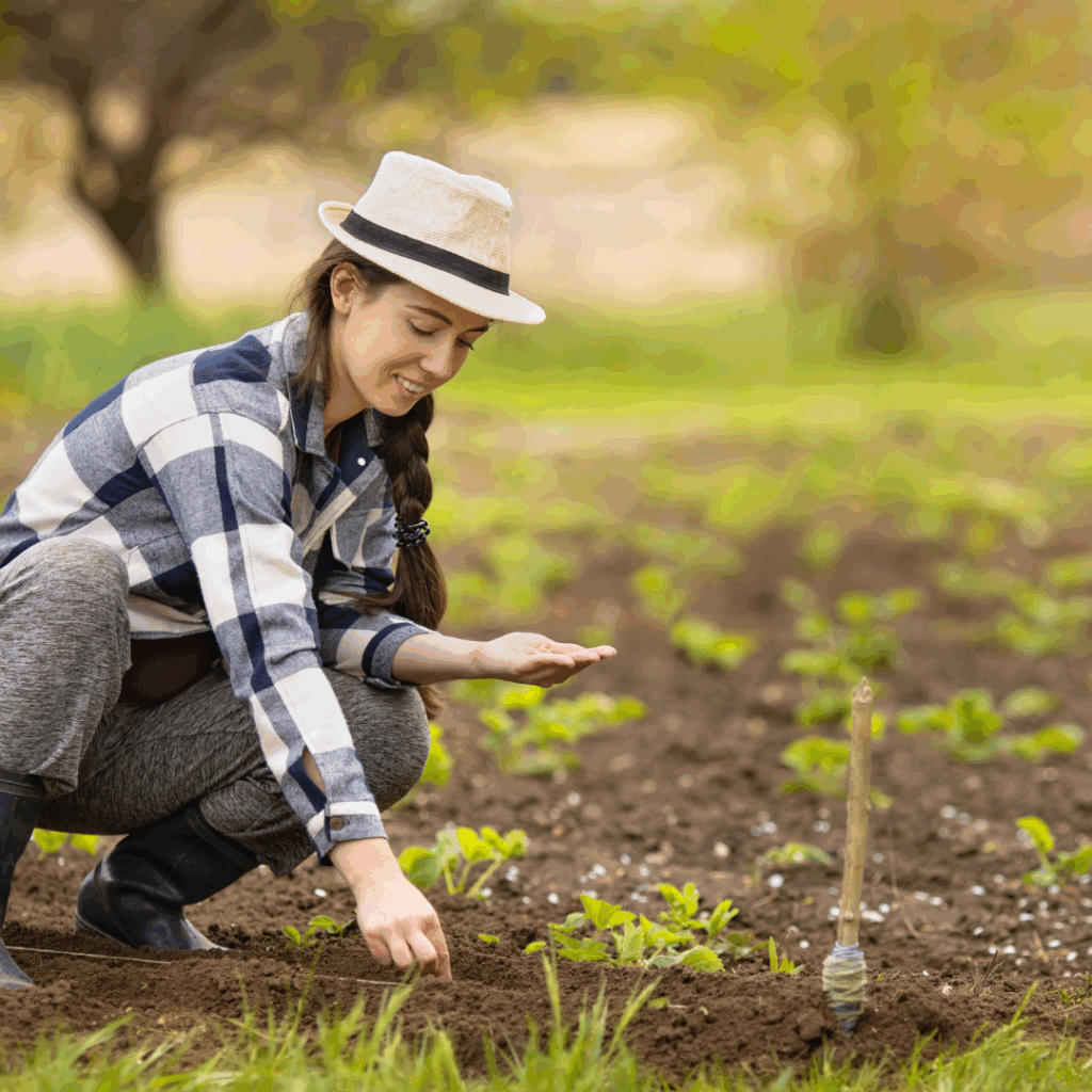 planting season planting season