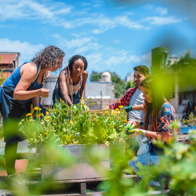 urban gardening