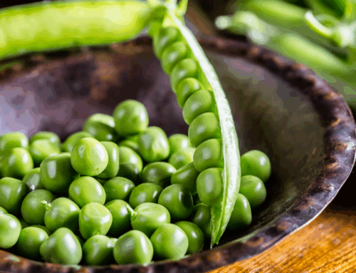Fresh Garden Peas