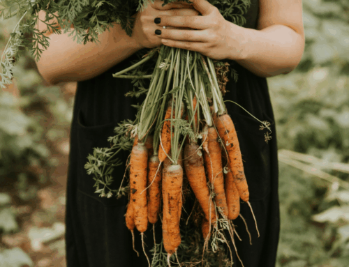Where to buy direct from Local Farms