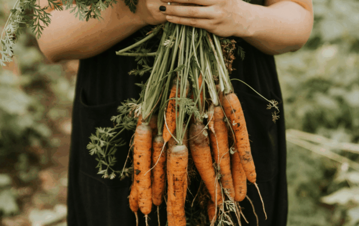 alberta's best farmers and ranchers