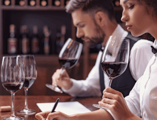 Discover the World of Wine