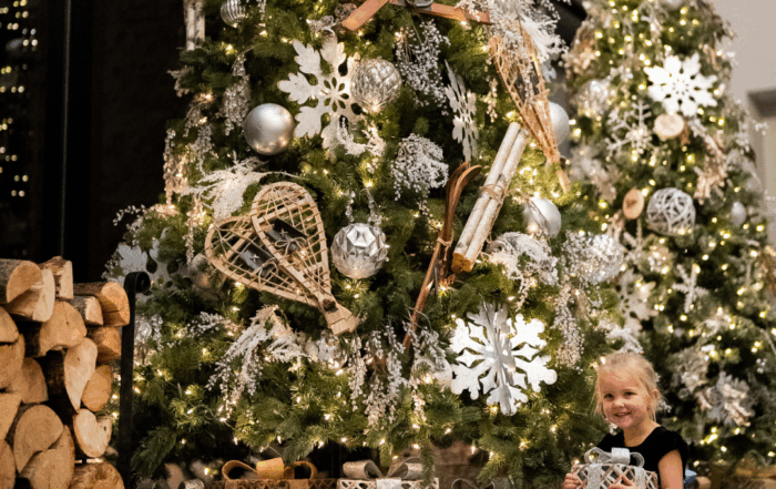 Christmas in the Rockies