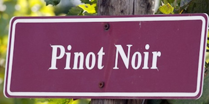 KWM pinot