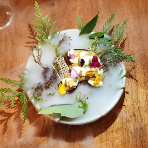 PROGRESSIVE INDIGENOUS DINNER EXPERIENCE YYC EXPERIENCE