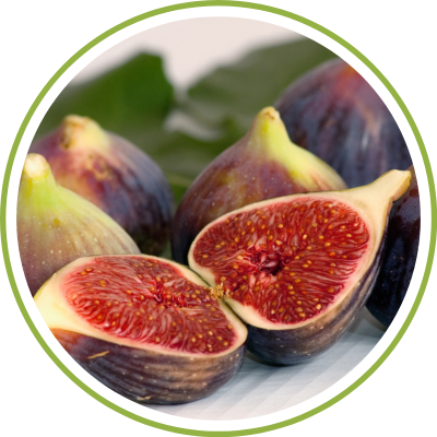 figs figs