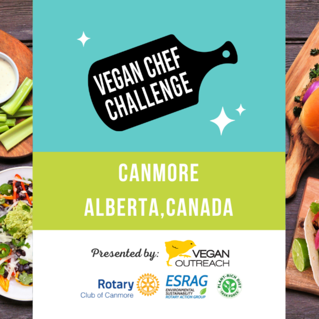 VEGAN CHEF CHALLENGE