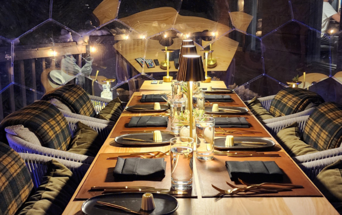 Emerald Sky Dome at Emerald Lake Lodge