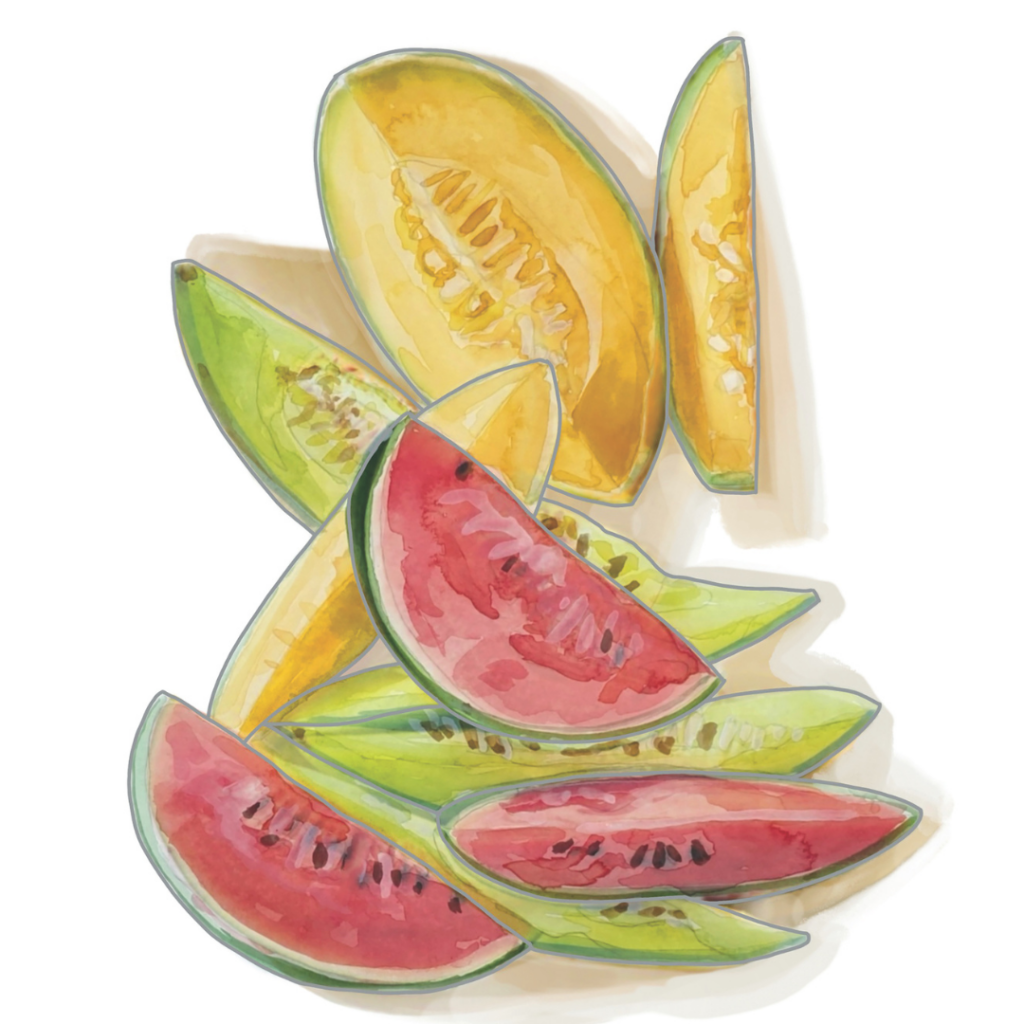 summer melons