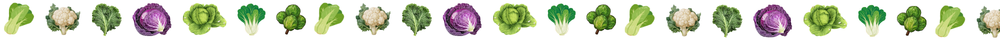 cabbage separator