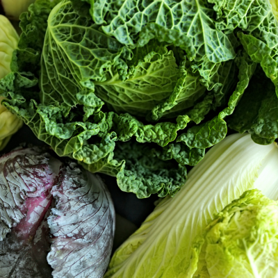 different cabbages