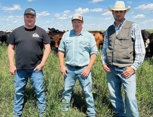 Gemstone Grass Fed Beef