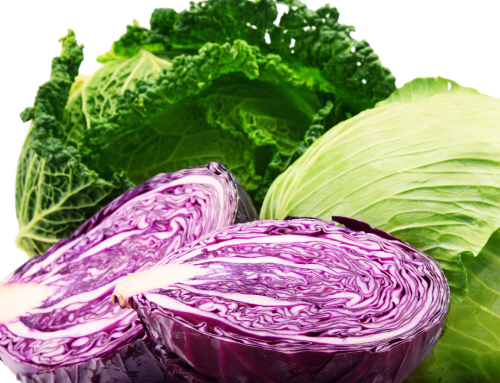 Cabbage